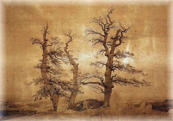 12321548_10208216891245325_1008491642561360678_n